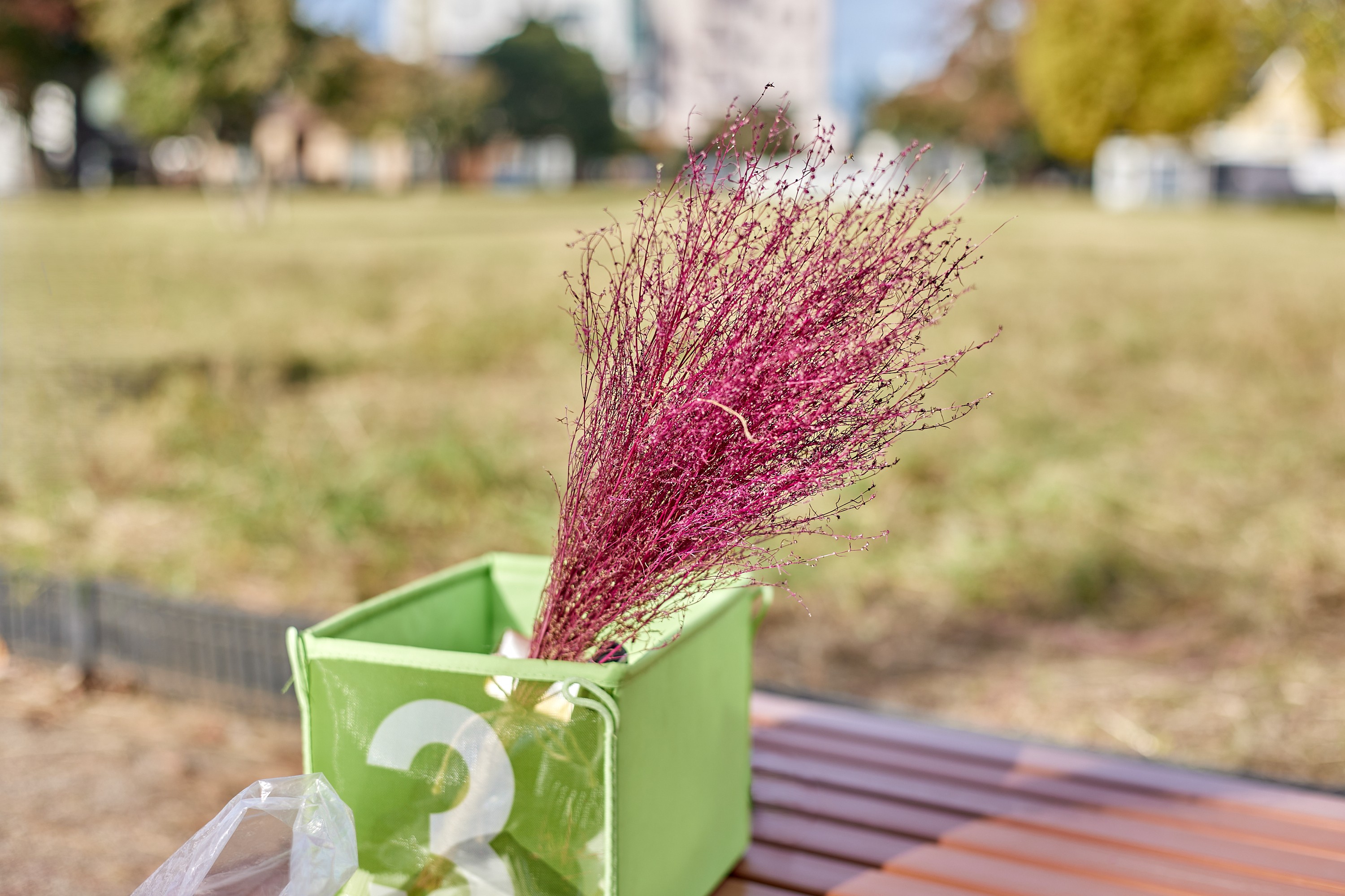 コキアでほうき作り 勝田TAMARIBA横丁 茨城 ひたちなか