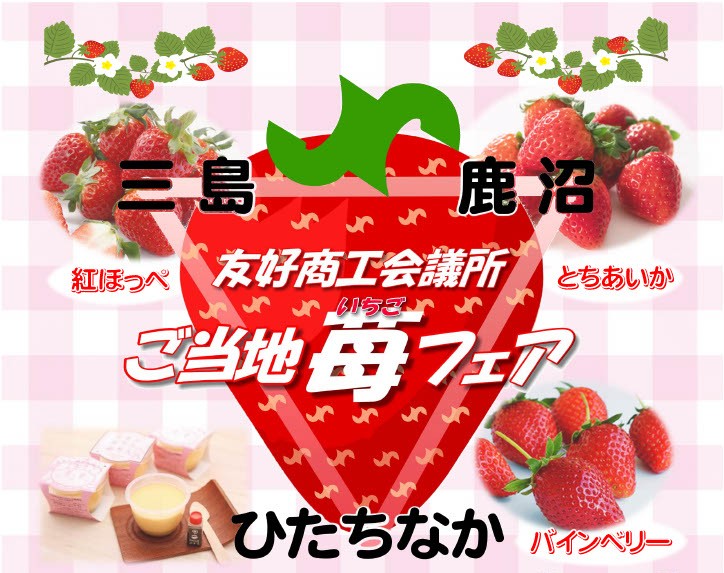 ひたちなか商工会議所 ご当地グルメ 勝田TAMARIBA横丁 茨城 ひたちなか