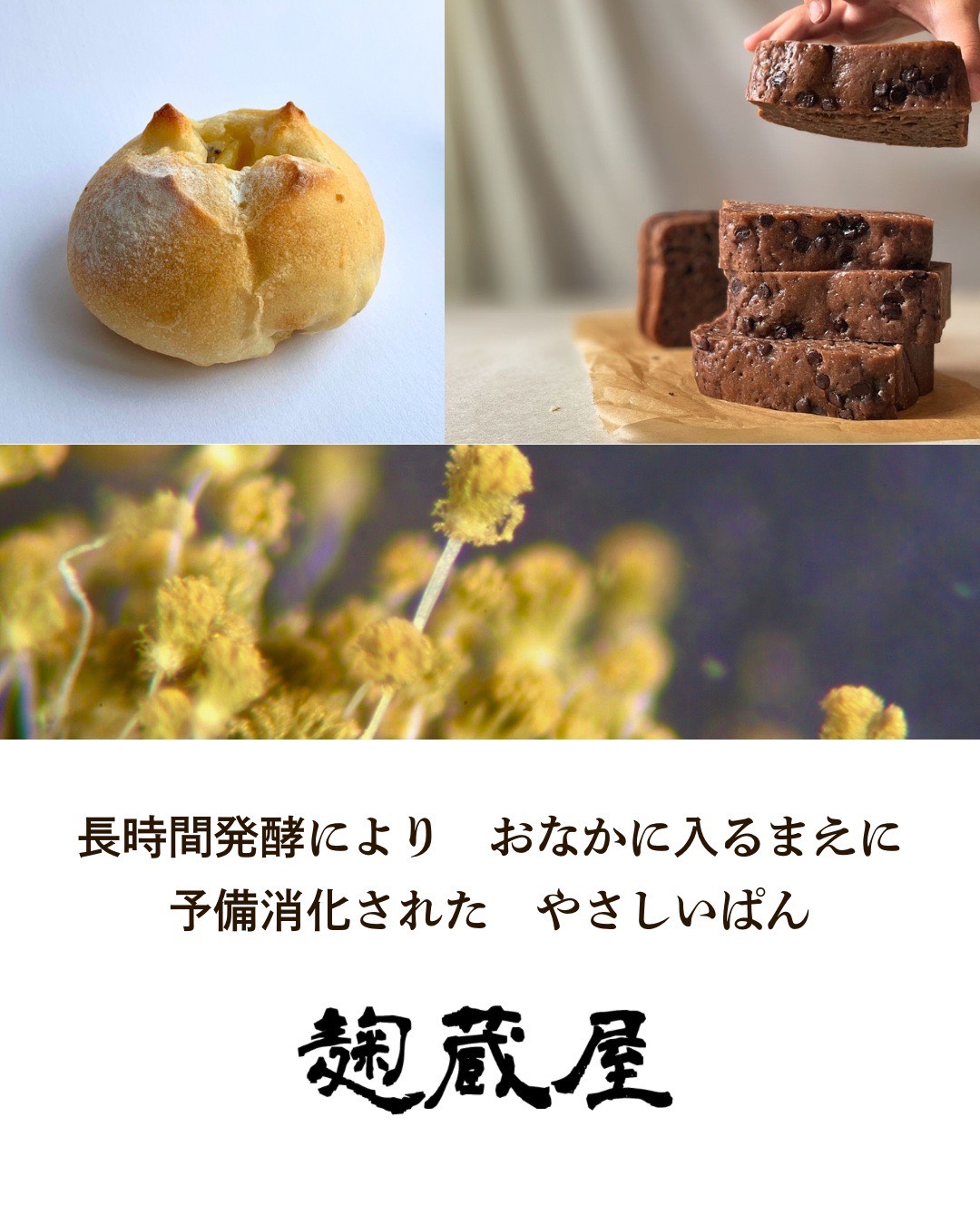 麹蔵屋 パン祭り 勝田TAMARIBA横丁 茨城 ひたちなか